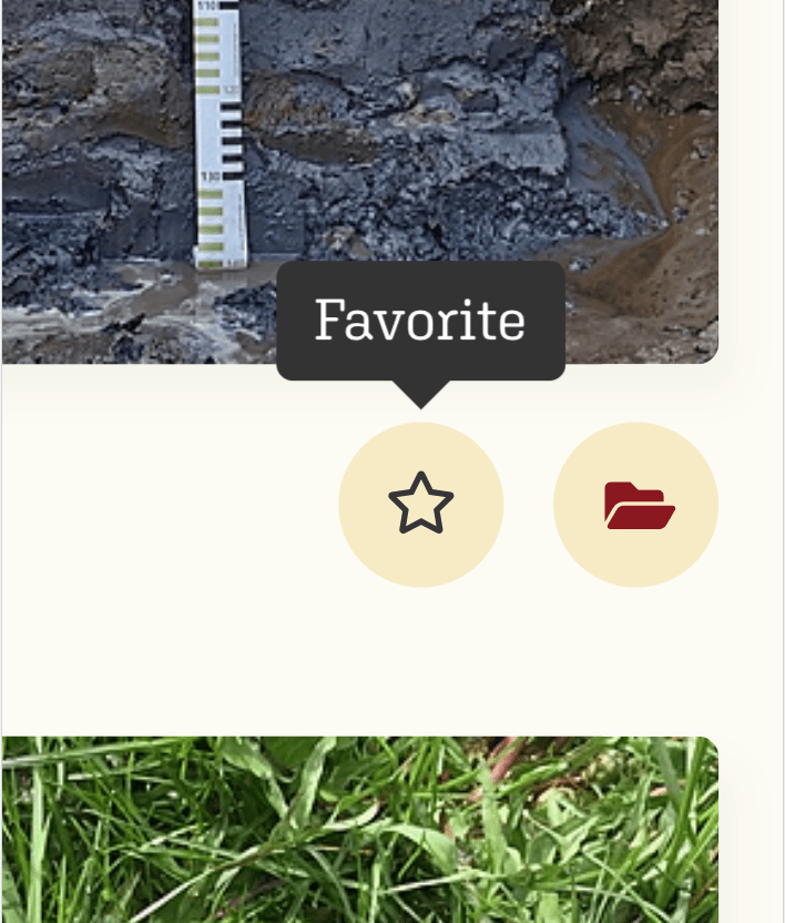 SOILBOOK Tutorial – Favorit