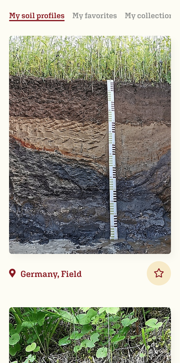 SOILBOOK Tutorial – My Soil Profile