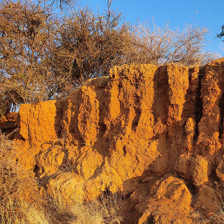 Namibia, Feuchtgebiet